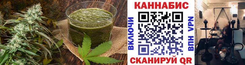 сколько стоит  Обь  Cannafood конопля 