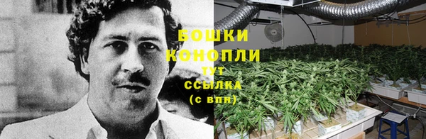 apvp Белокуриха