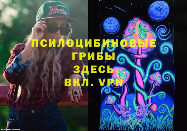 apvp Белокуриха
