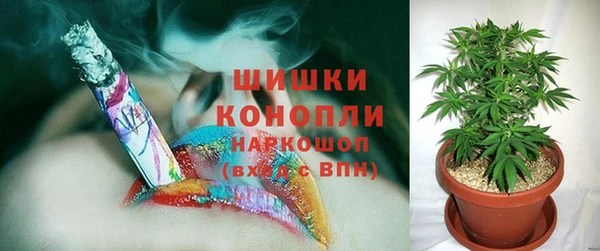 apvp Белокуриха