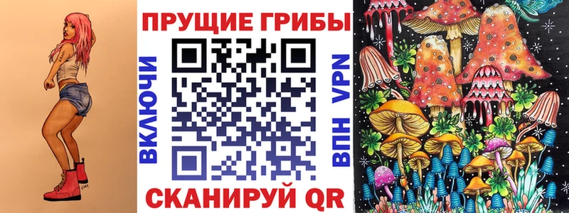 мега как зайти  купить закладку  Обь  Псилоцибиновые грибы мицелий 